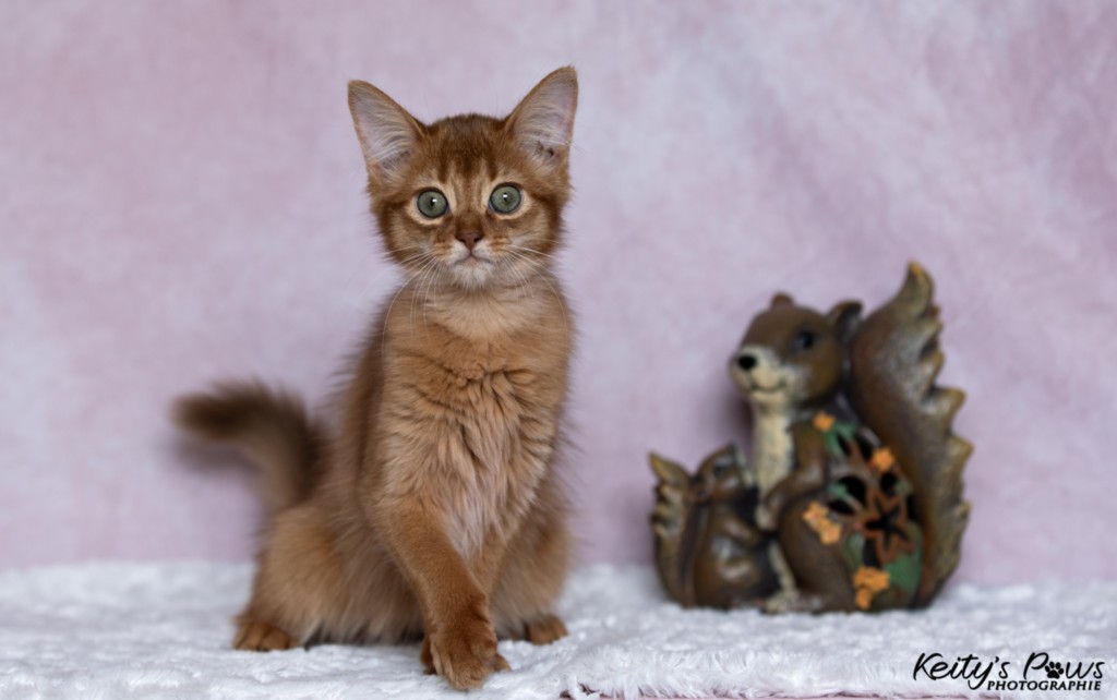 Athena -Abigail  3 Mois