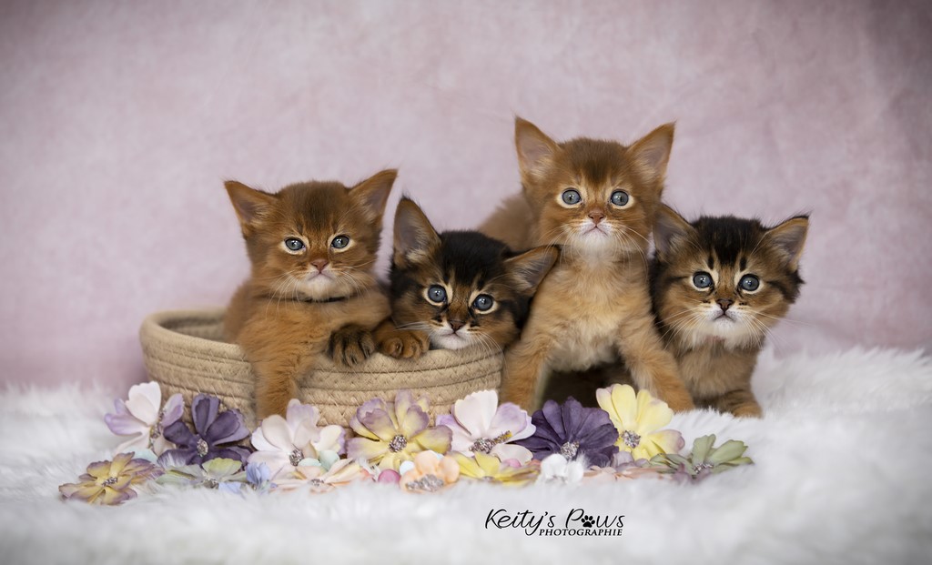 Una Lana Umbro Unique Kára Unique Ultima 1 Mois