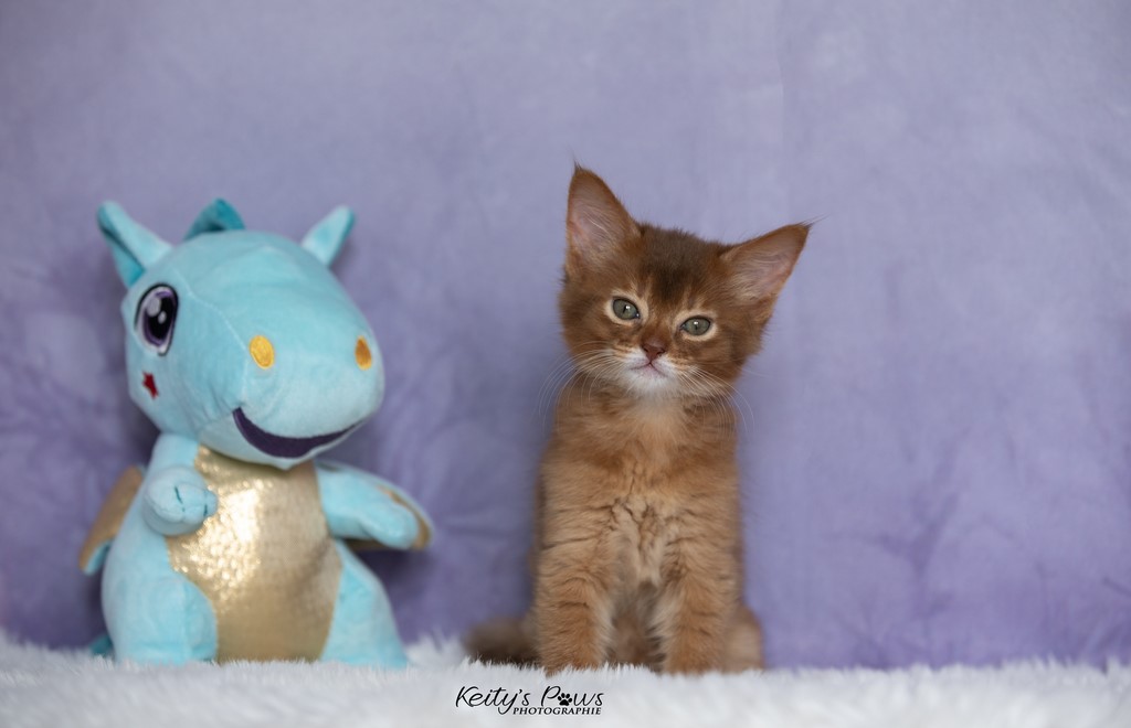 Unique ​Kára 1 Mois