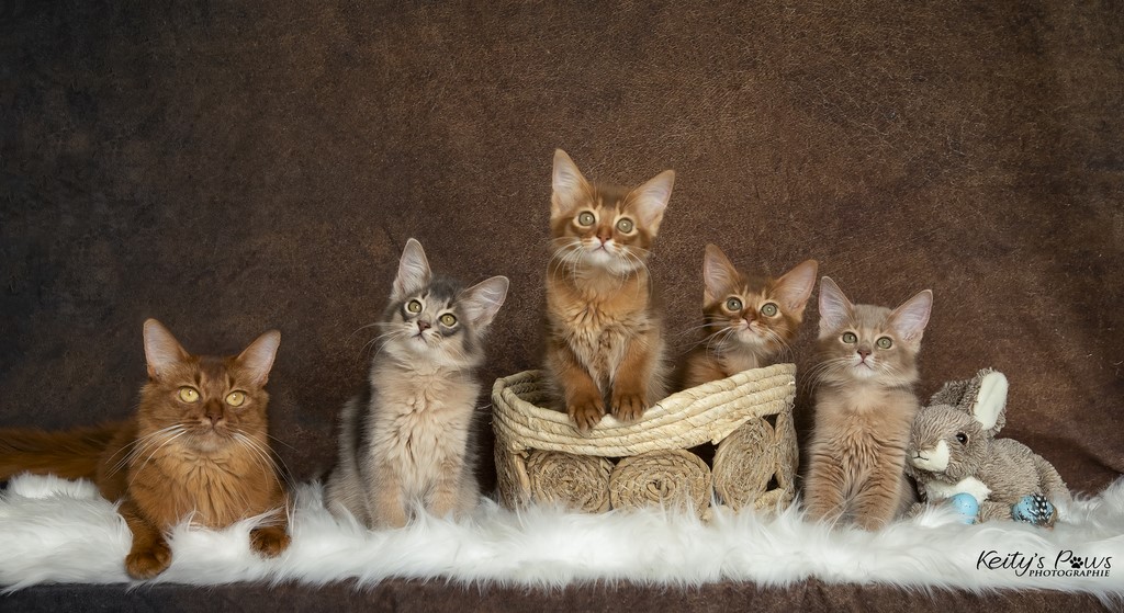 2 Mois & Maman Oksana