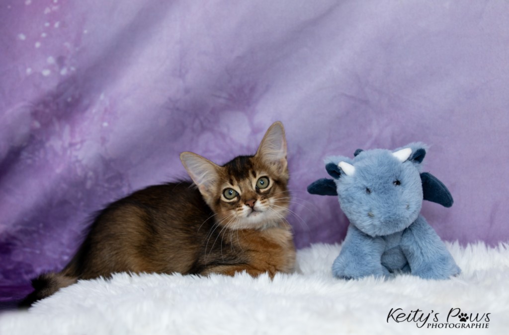  Aegnor-Azur (bleu)  2 Mois