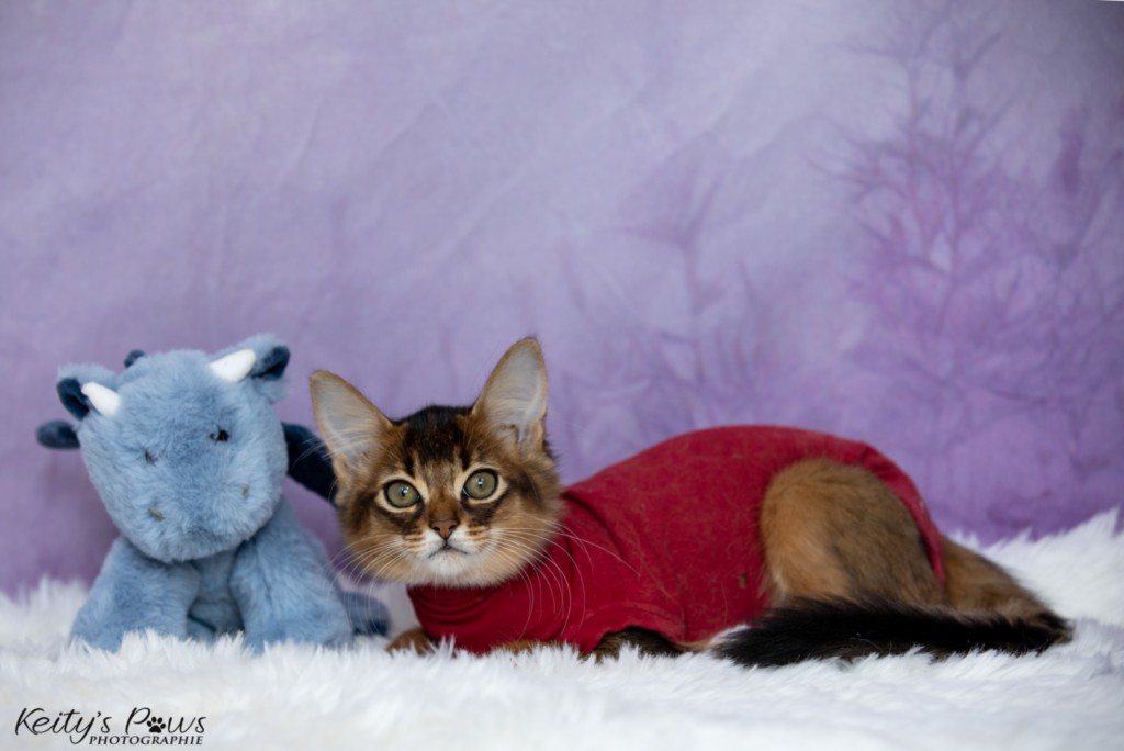  Adara-Alya (jaune) 2 Mois