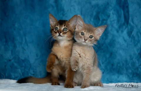  Zariyã Sitarã & Zéphyr Voltaire 2 Mois